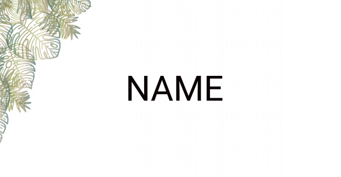frame 0