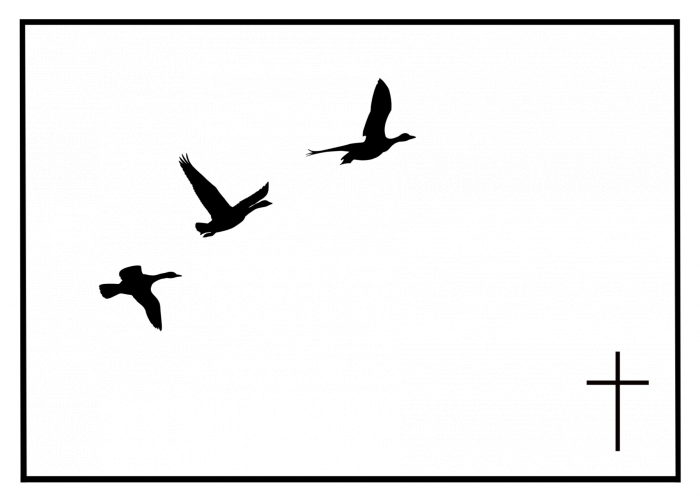 frame 0